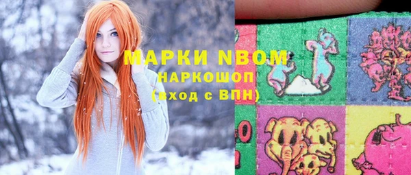дурь Алексин