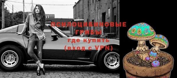 дурь Алексин