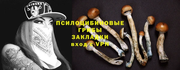 метамфетамин Алексеевка